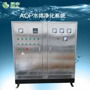 银川黑臭水体AOP臭氧高级氧化水体净化设备厂家