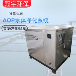 泳池水AOP 氧化设备制药中水回用厂家直销可定制