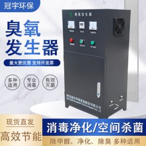 高浓度智能空气源臭氧发生器风冷水冷式臭氧设备冠宇环保厂家