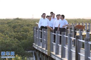 十八大以来，习近平反复强调“绿水青山”